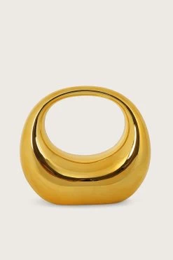 VIVIANA Sculptural Acrylic Clutch Bag In Gold